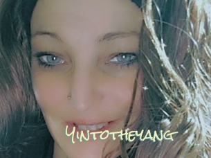 Yintotheyang