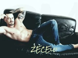 ZECElei