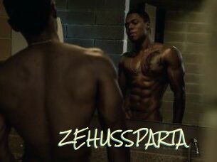 ZEHUS_SPARTA