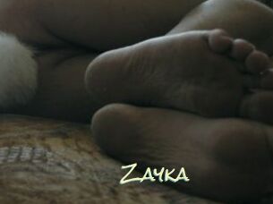 Zayka