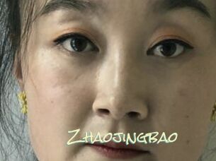Zhaojingbao