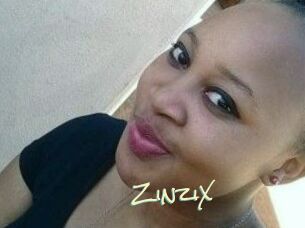 ZinziX