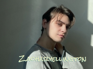 zacharyellington Porn Monkey Cash
