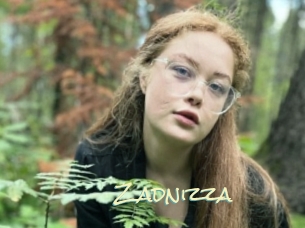 Zadnizza