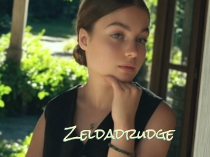 Zeldadrudge