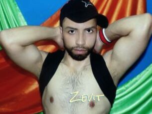 Zevit