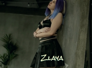 Zlaya