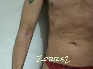 Zorris2