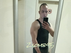 Zsomb95
